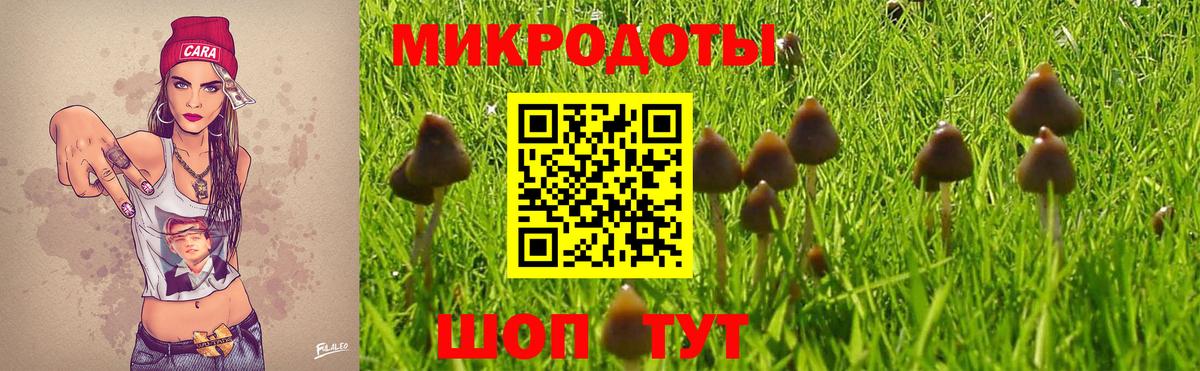 Галлюциногенные грибы Psilocybe  Вход с VPN  Тосно  Псилоцибиновые грибы MAGIC MUSHROOMS 